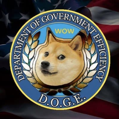 Department of Government Efficiency - D.O.G.E.